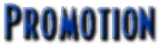 promotion.gif (5442 bytes)